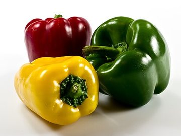 Capsicum