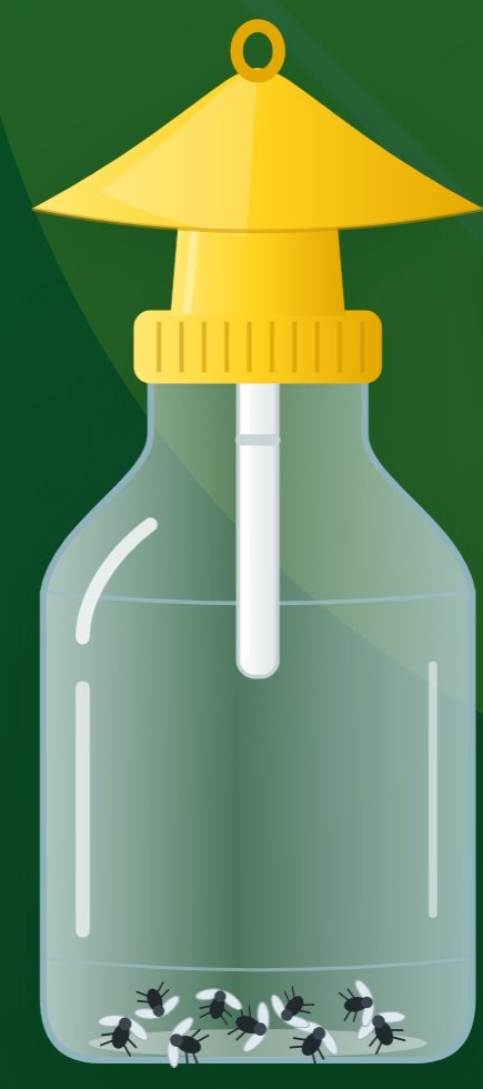 AgroNova pheromone trap with caught fruit flies